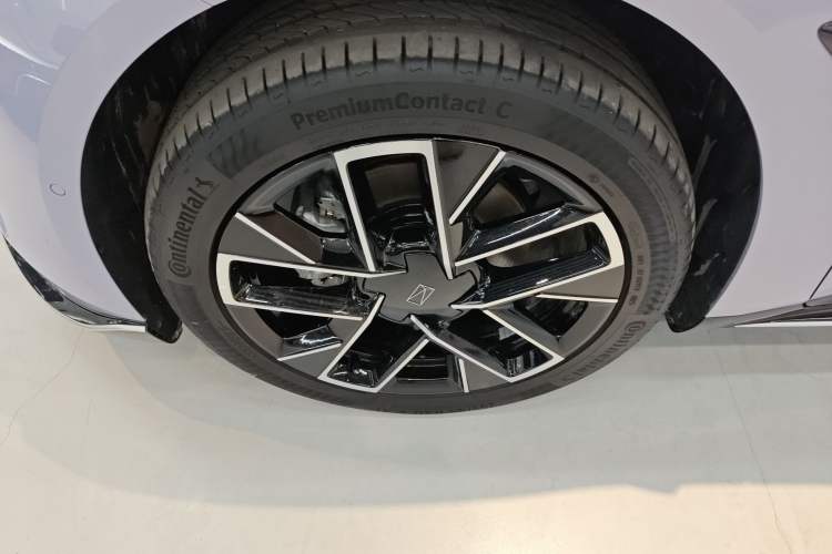 Used  06 2025 Max Extended-Range Edition
