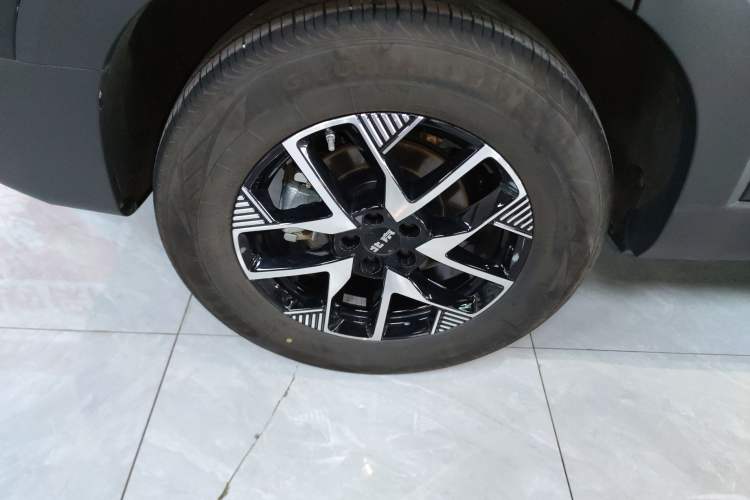 Used  BJ30 2024 1.5T Light Wilderness Pro Edition
