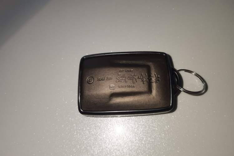 Used Tank 500 New Energy 2023 Hi4-T
