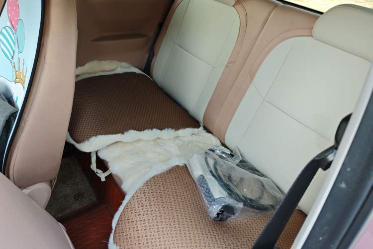 Used  Panda 2024 Panda Mini 200km Longteng PRO Edition