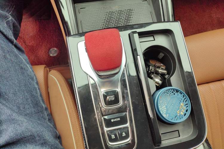 Used Hongqi H9 2024 2.0T Qixiang Private Style Edition
