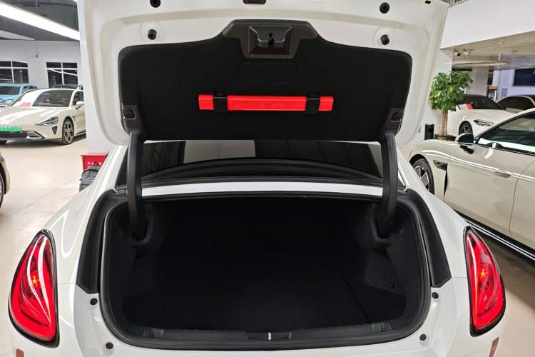 Used ORA Lightning Cat 2022 555 km Luxury Edition