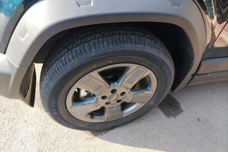 Used  03 2024 401km Two-Wheel Drive Standard Advanced Version