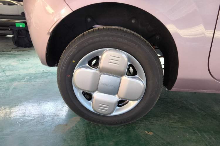 Used  Panda 2024 Panda Mini 200km Endurance Bear
