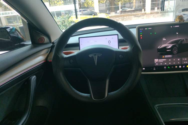 Used Tesla Model 3 2022 Rear-Wheel-Drive Version
