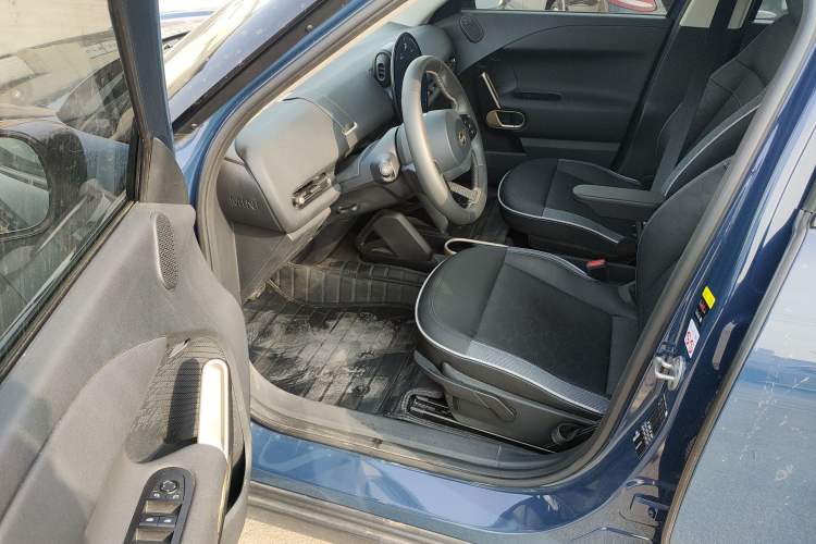 Used  Electric MINI ACEMAN 2024 E Classic Edition