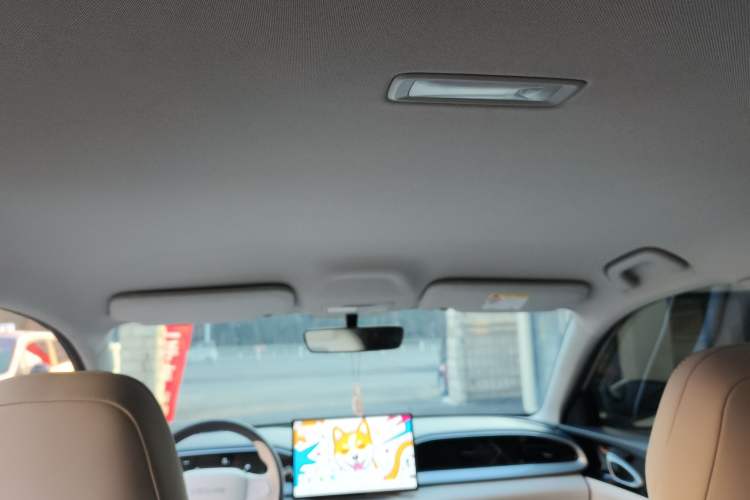 Used  Geome 2025 UP 410km Exploration Edition