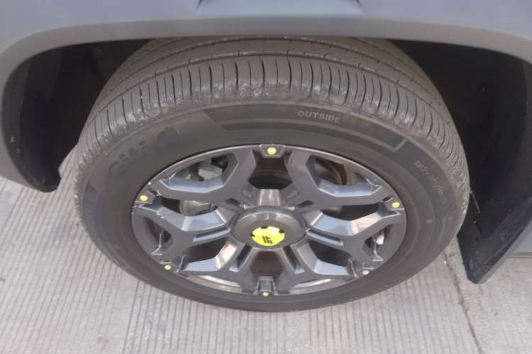 Used  Shanhai T2 2024 C-DM 208KM Mountain & Wilderness Edition