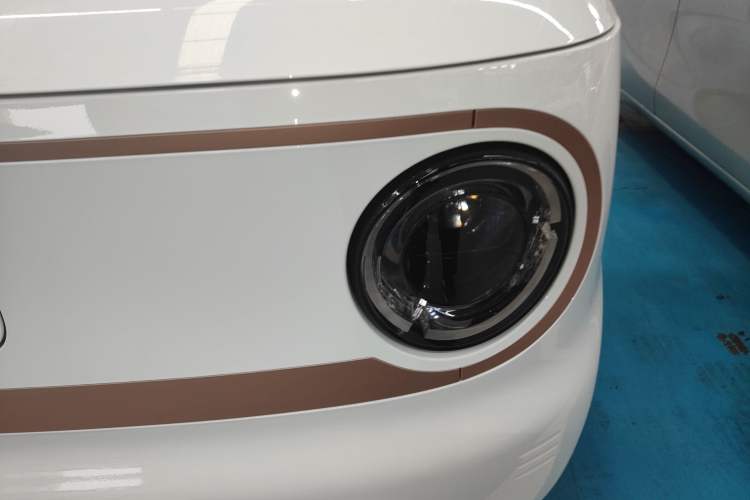 Used  Panda 2024 Panda Mini 200km Endurance Bear
