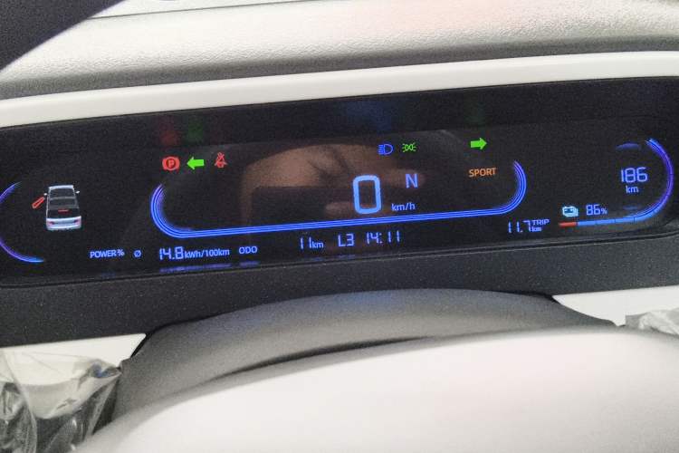 Used  Panda 2025 210 km – Yuanqi Bear
