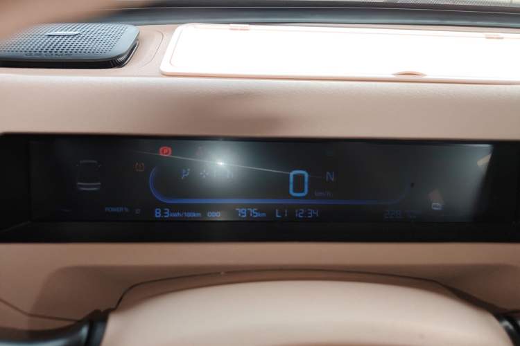 Used  Panda 2023 Panda Mini 200km Endurance Bear