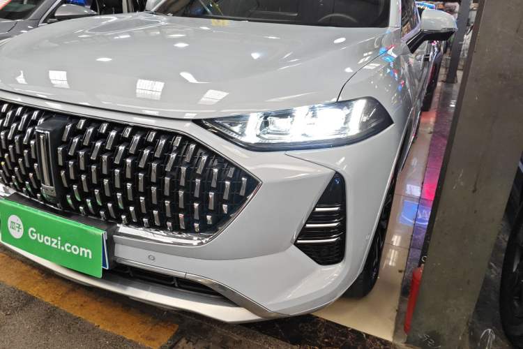 Used Wey Mocha 2021 2.0T Two-Wheel-Drive Ultra-Strong Version
