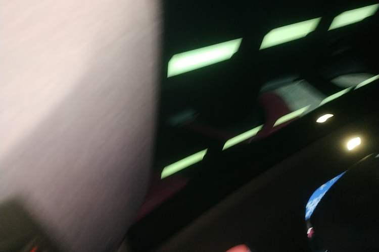 Used  06 2025 Max All-Electric Version
