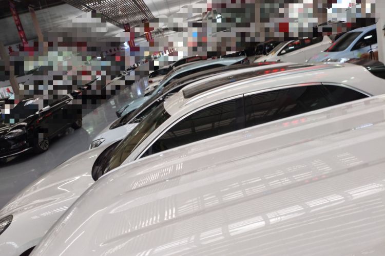 Used  Panda 2023 Panda Mini 200km Endurance Bear