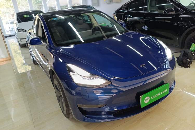 Used Tesla Model 3 2019 Long-Range All-Wheel-Drive Version
