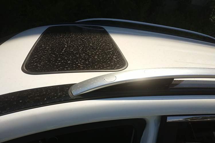 Used Haval H6 2015 Revised Version Sport Edition 1.5T Manual Transmission Two-Wheel Drive Elite Grade
