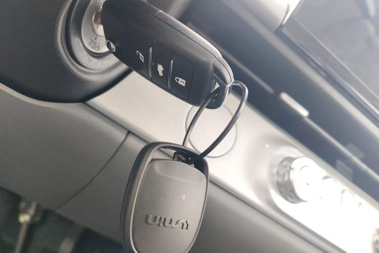 Used  Lumin 2025 205 km Xiangqin Version