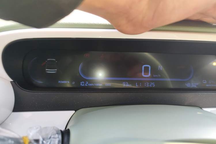 Used  Panda 2025 210 km – Yuanqi Bear