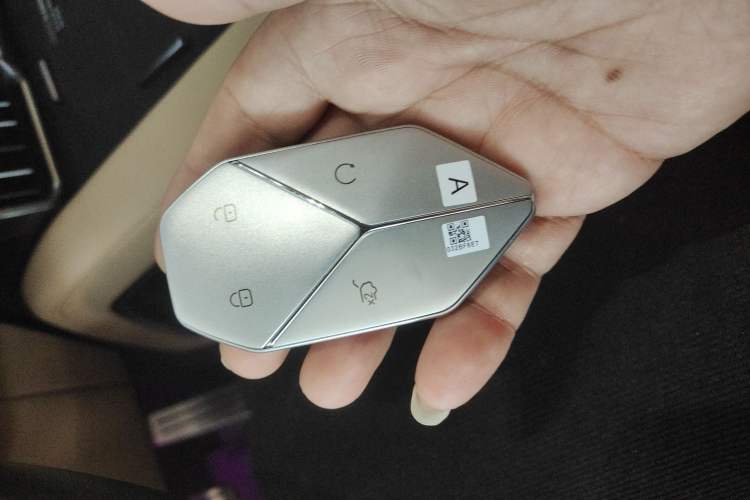 Used  Leopard 8 2025 Smart & Brave Flagship Edition 7 Seats
