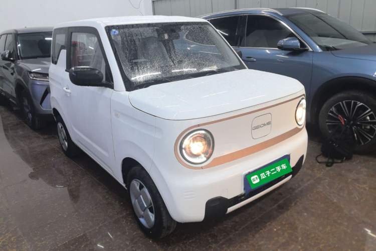 Used  Panda 2024 Panda Mini 200km Endurance Bear
