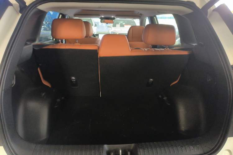 Used AION V 2024 Aion Tyrannosaurus 650 Smart Premium Edition
