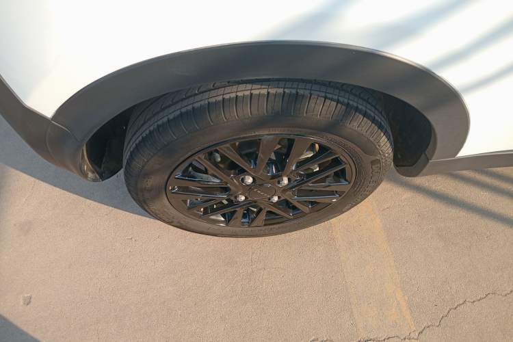 Used Chery Little Ant 2024 251km True Love Edition