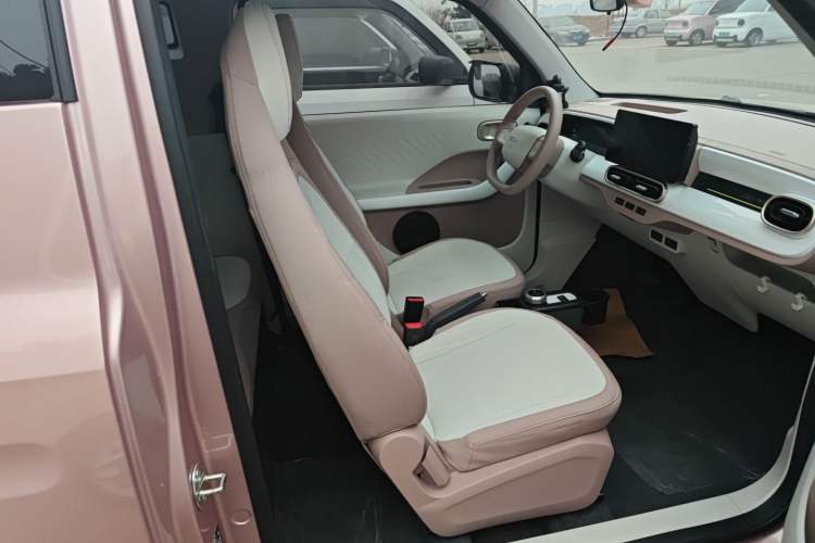 Used  Panda 2025 210 km – Yuanqi Bear