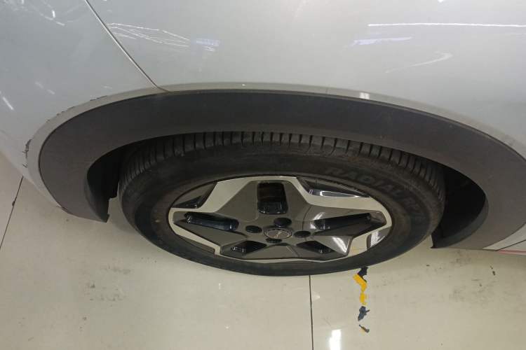 Used BYD Dolphin 2021 405 km Free Version