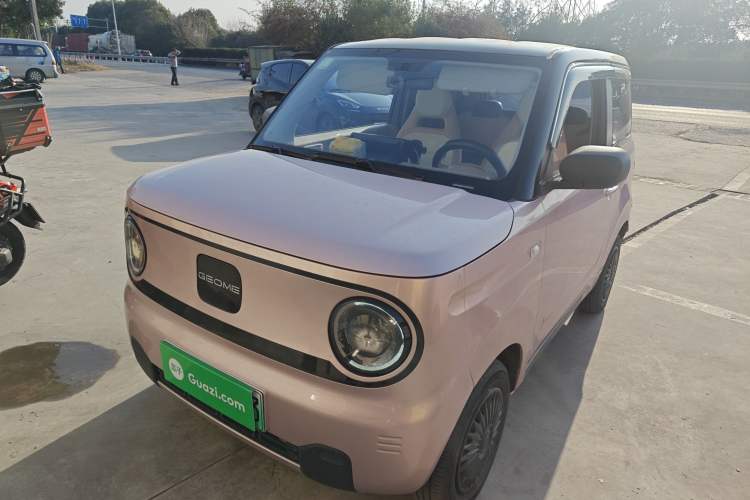 Used  Panda 2023 Panda Mini 200km Endurance Bear
