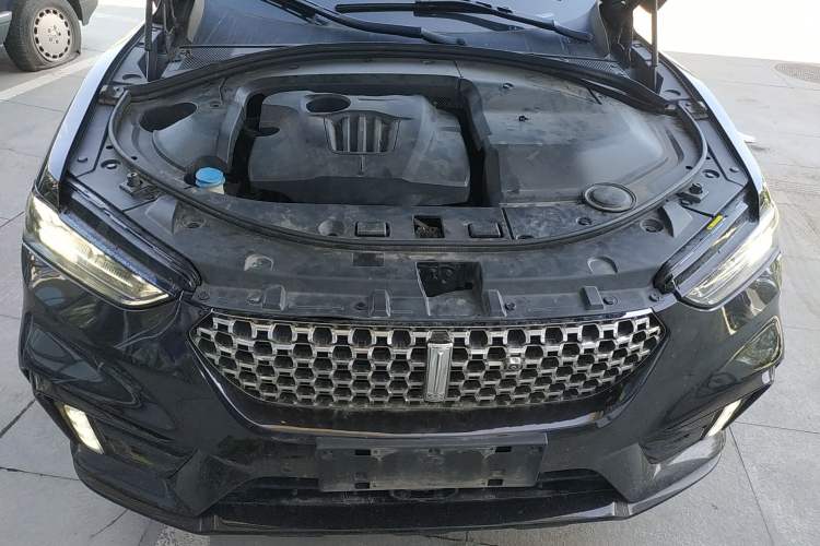 Used Wey VV7 2020 2.0T Flagship Edition
