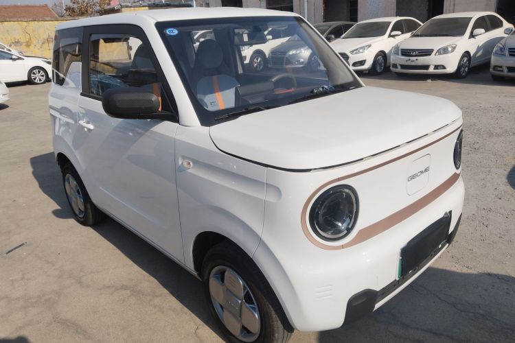 Used  Panda 2024 Panda Mini 200km Endurance Bear
