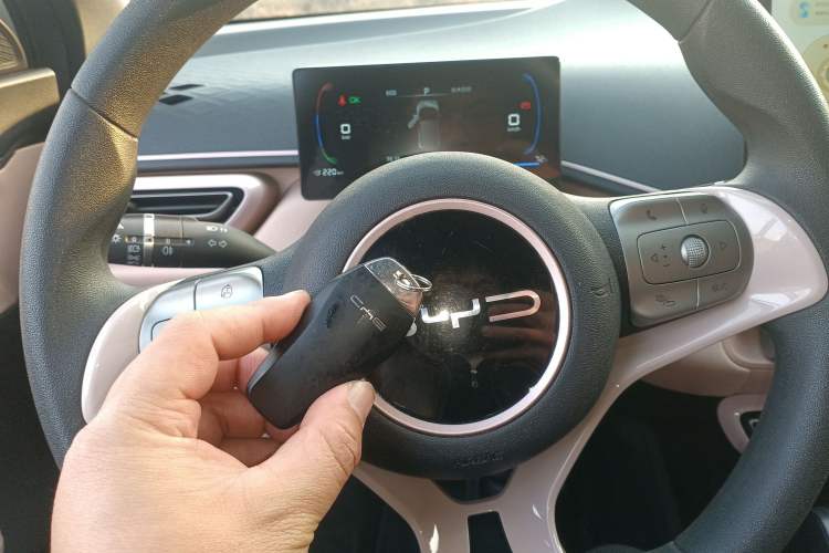 Used BYD Seagull 2023 Active Version
