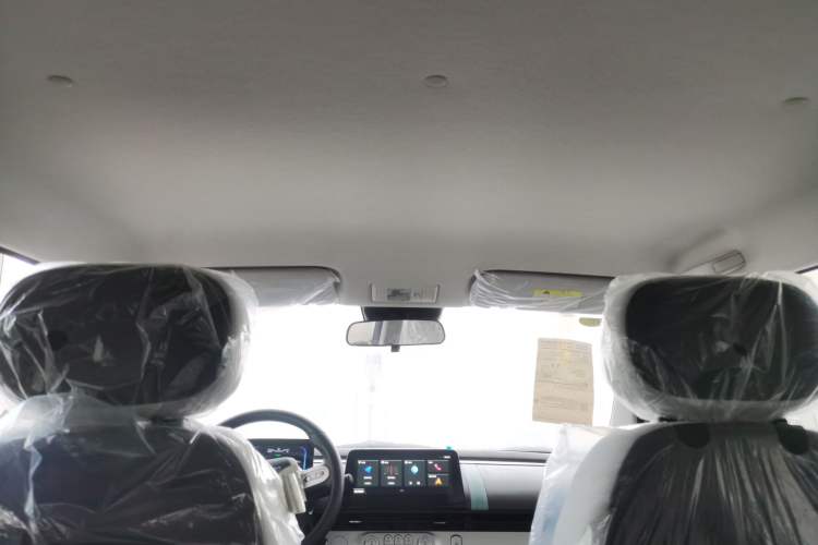 Used  Lumin 2023 205km Xiangqin Version
