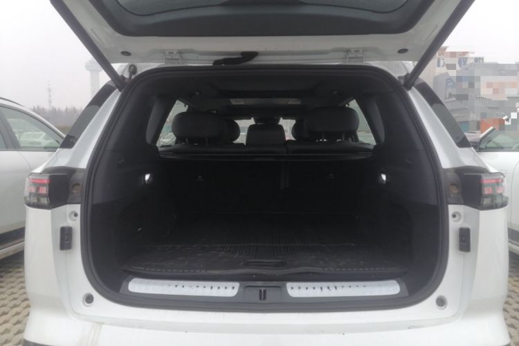 Used  eπ008 2025 210Max Range-Extended Version 5 Seats