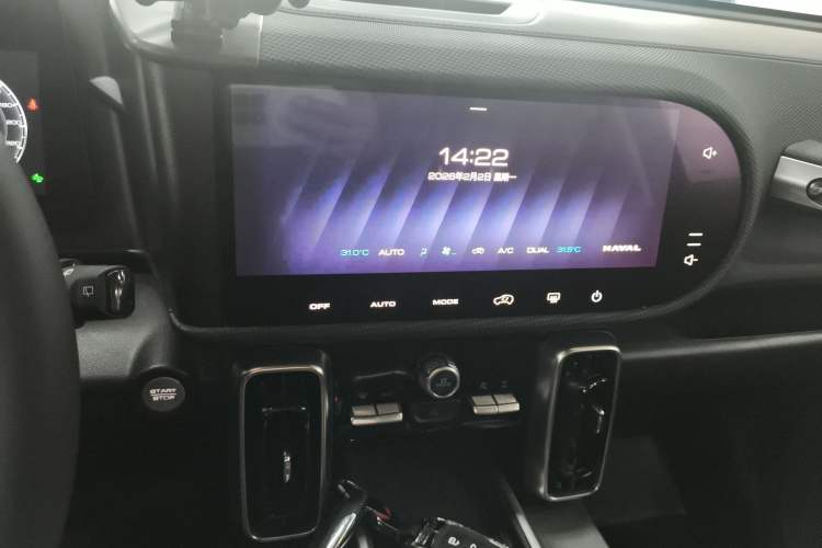 Used Haval DARGO 2024 2.0T DCT Chinese Rural Dog Edition
