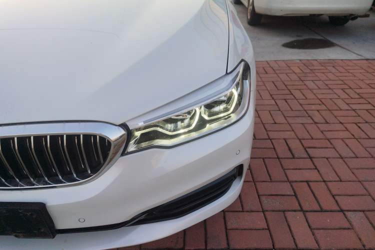 Used BMW 5 Series 2020 530Li Luxury Edition Premium Package