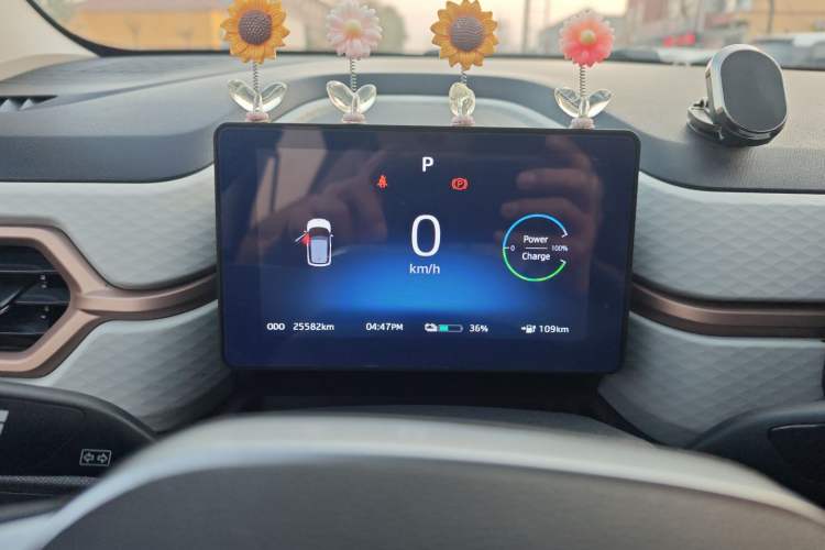 Used SOL E10X 2022 Flower Fairy Design Four-Leaf Clover