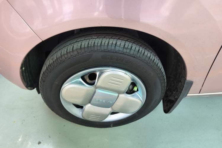 Used  Panda 2024 Panda Mini 200km Endurance Bear