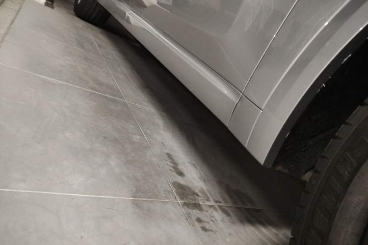 Used Li Auto L9 2023 Pro Model
