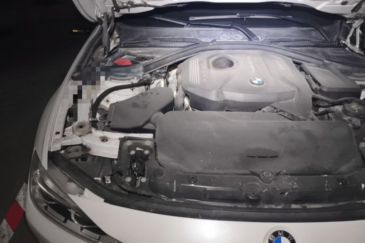 Used BMW 3 Series 2017 320Li xDrive Fashion Model
