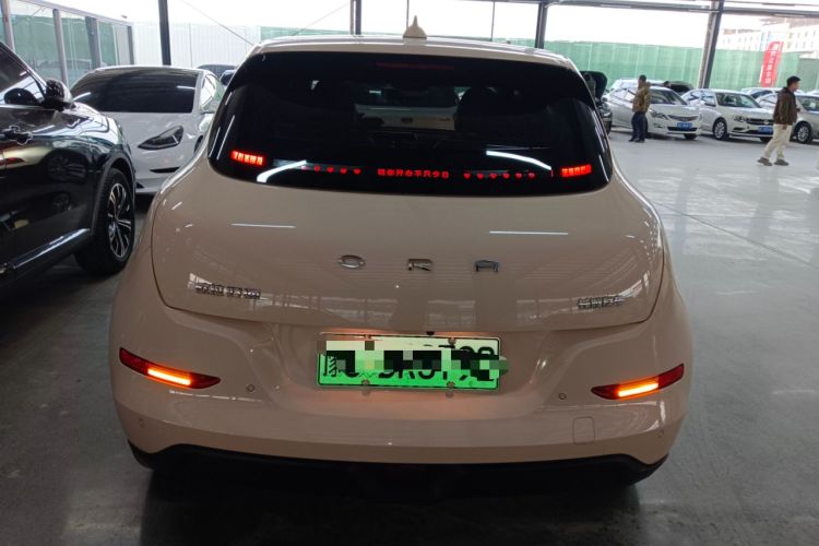 Used ORA Good Cat 2024 401 km Luxury Version