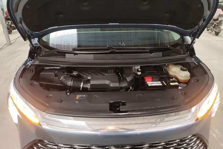 Used Buick Century 2023 2.0T Seven-Seater Yinshi Edition
