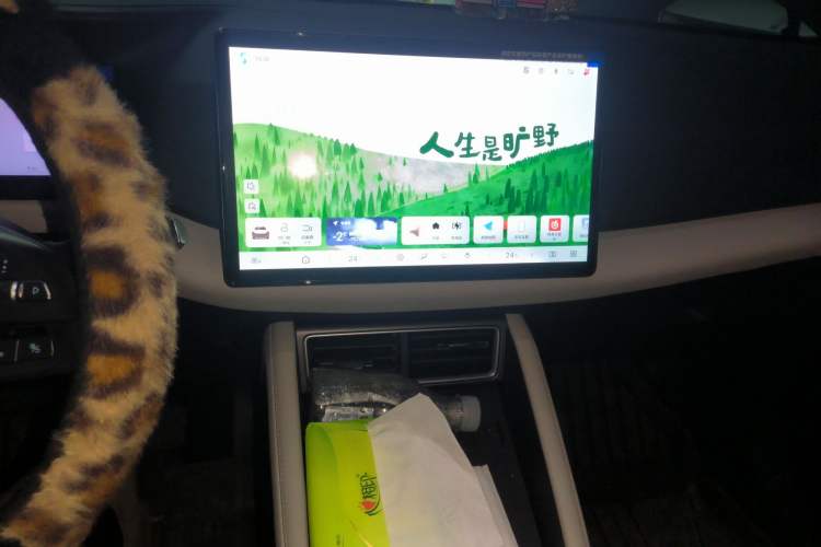 Used BYD Yuan UP 2025 Intelligent Driving Version 401 KM Dynamic Edition