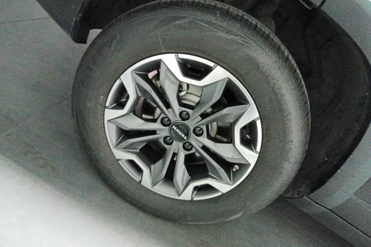 Used Haval DARGO 2024 2.0T DCT Chinese Rural Dog Edition
