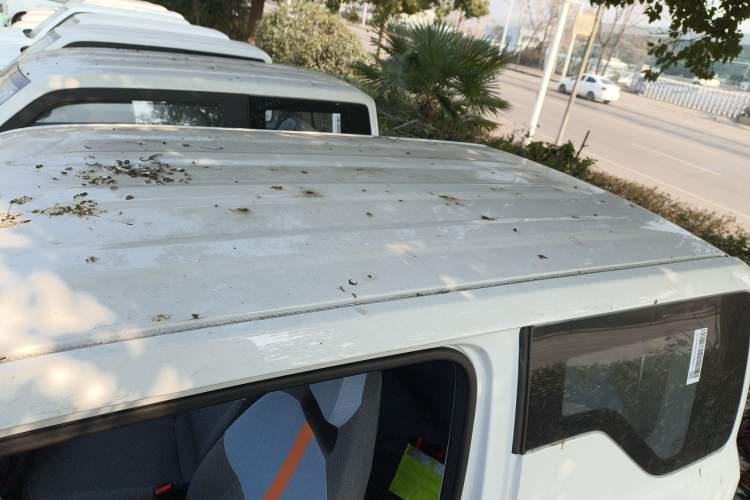 Used  Panda 2024 Panda Mini 200km Endurance Bear
