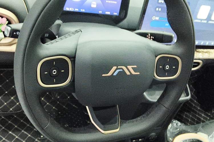 Used  3 2025 330km Black Pineapple Edition
