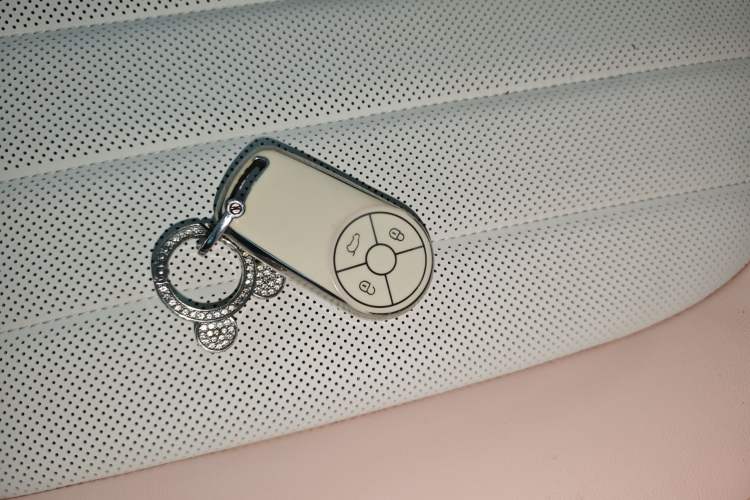 Used ORA Ballet Cat 2022 401 km Nutcracker Edition
