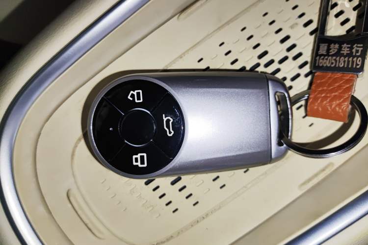 Used ORA Good Cat 2023 401 km Standard Range Luxury Version Lithium Iron Phosphate
