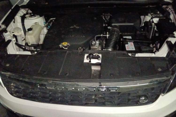 Used Leopaard CS10 2017 2.0T Automatic Urban Version