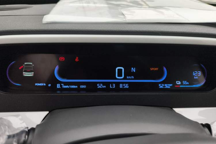 Used  Panda 2025 210 km – Yuanqi Bear